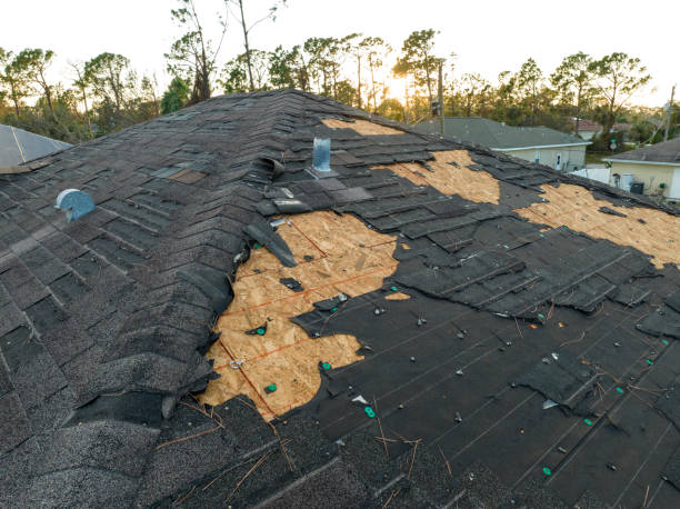 Best Roof Maintenance and Cleaning  in North Edwards, CA
