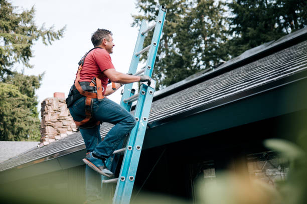 Best Solar Panel Roofing Installation  in North Edwards, CA